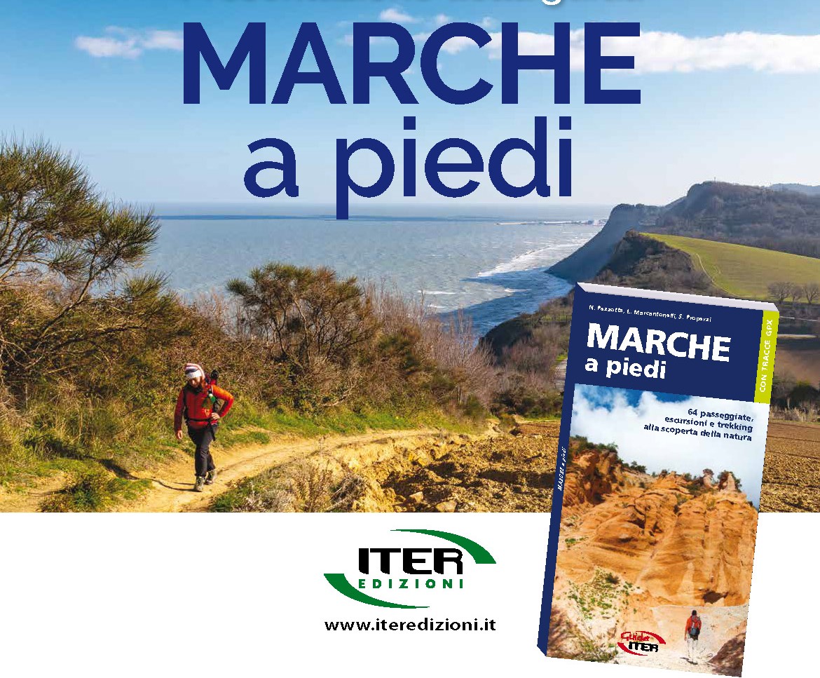 MARCHE A PIEDI